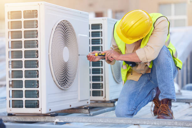 Best Local HVAC Companies  in Belleview, FL